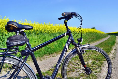 Fahrrad am Rapsfeld