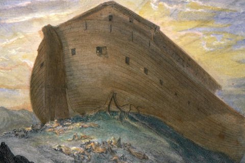 Gustave Doré: Arche Noah