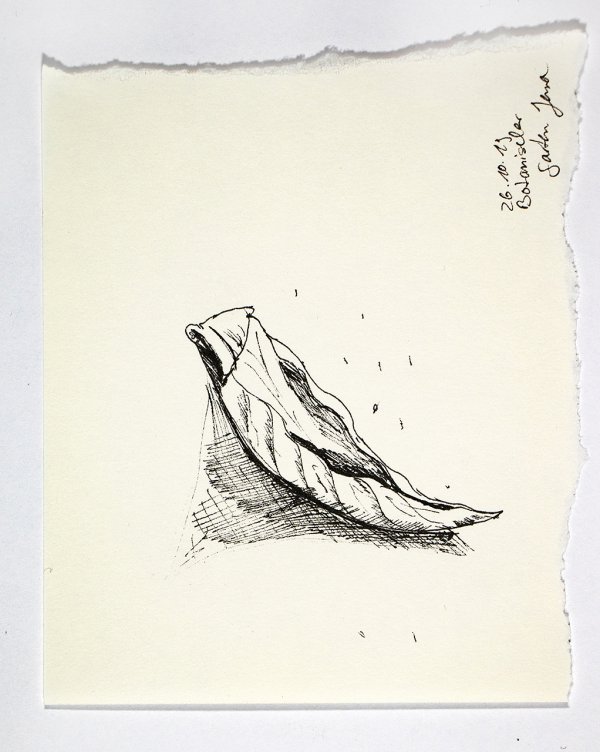 Zeichnung | © Katharina Strauß