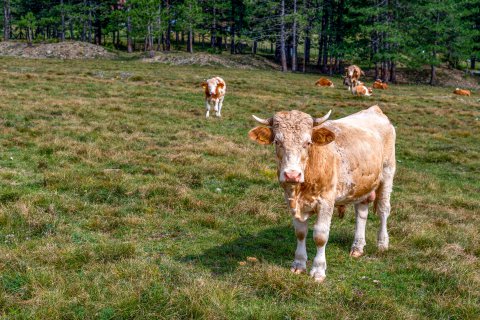 Was brauchen Zukunftsorte Nöbdenitz