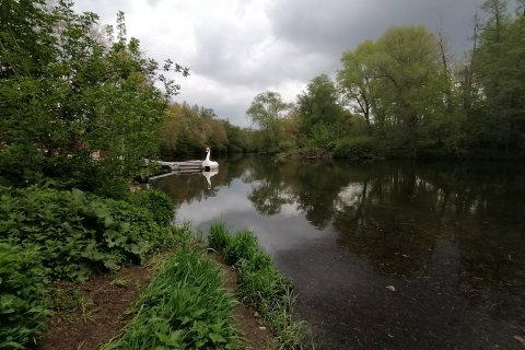 Jena Paradies