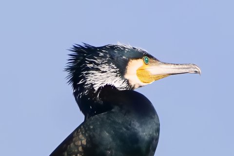 Mittwochkreis