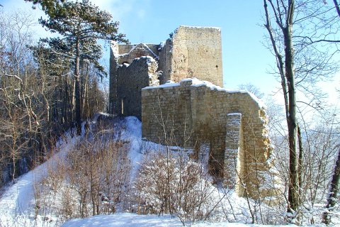 Lobdeburg bei Jena
