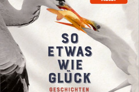 Buchcover So etwas wie Glück