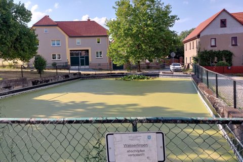 Mittwochkreis