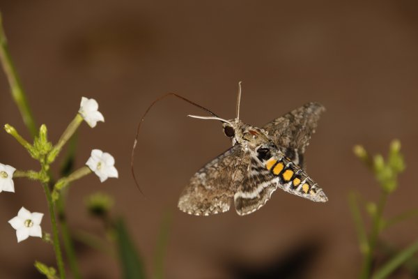 Mittwochkreis