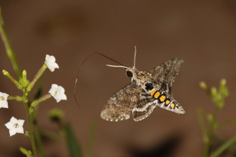 Mittwochkreis