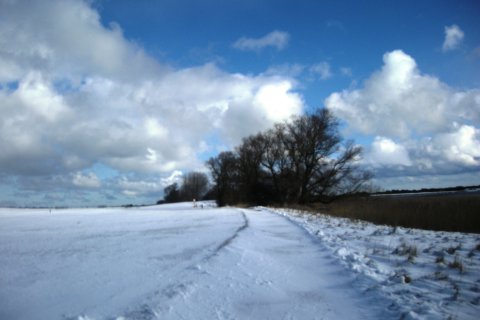 Winter auf Hiddensee