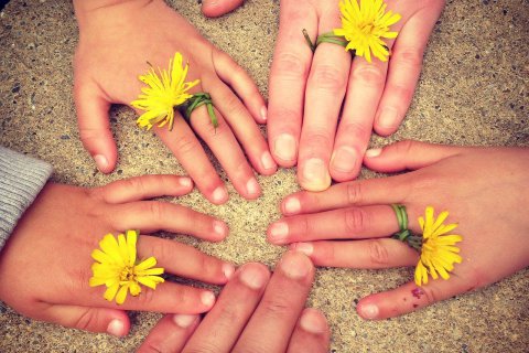 Familien-Hände im Kreis mit Blumen 