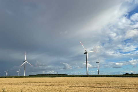 Windturbinen nahe Klanxbüll (Schleswig-Holstein)