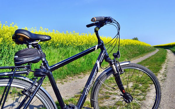 Fahrrad am Rapsfeld
